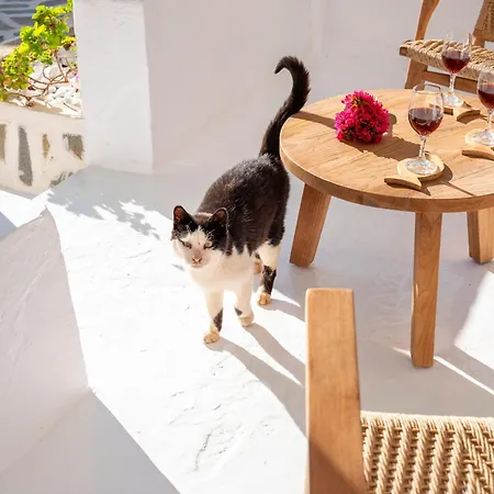 Chanos Luxury Paros *