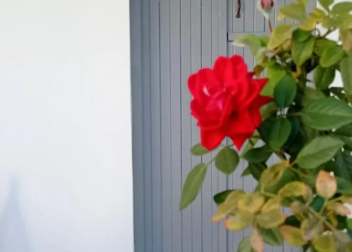 Chanos Luxury Paros *