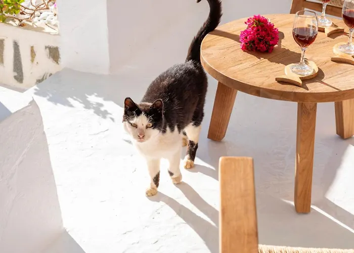 Chanos Luxury Paros *